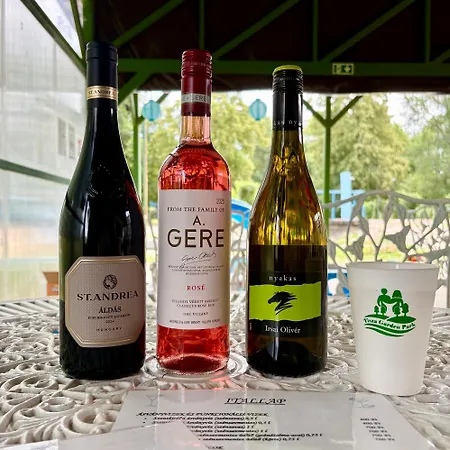 Villa Tisza Garden Park Vip Haz *